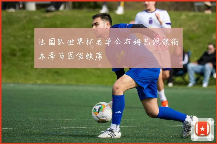 法国队世界杯名单公布姆巴佩领衔本泽马因伤缺席