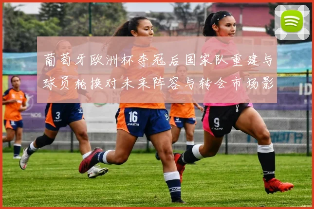 葡萄牙欧洲杯夺冠后国家队重建与球员轮换对未来阵容与转会市场影响